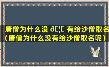 唐僧为什么没 🦉 有给沙僧取名（唐僧为什么没有给沙僧取名呢）